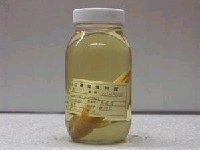 藏品(蘭氏鯽)的圖片